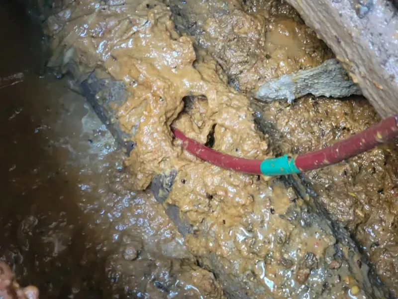 청주 청원구 우암·내덕동 오래된 주택 마당 하수구 막힘